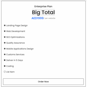 Enterprise Plan,Big Total